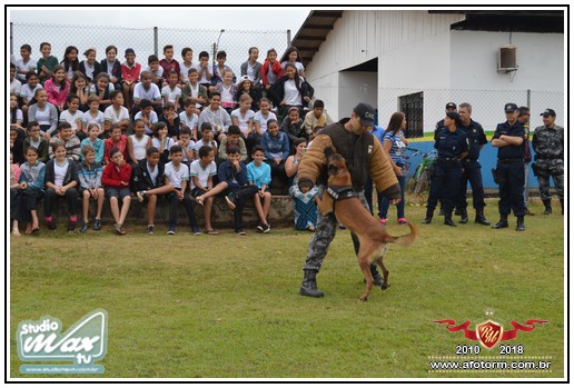 rolim de moura